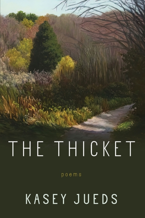 Cover image for book The Thicket