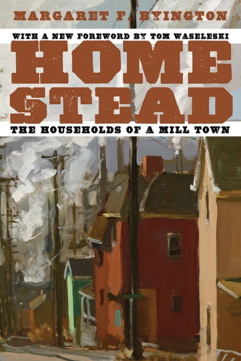 Cover image for book Homestead