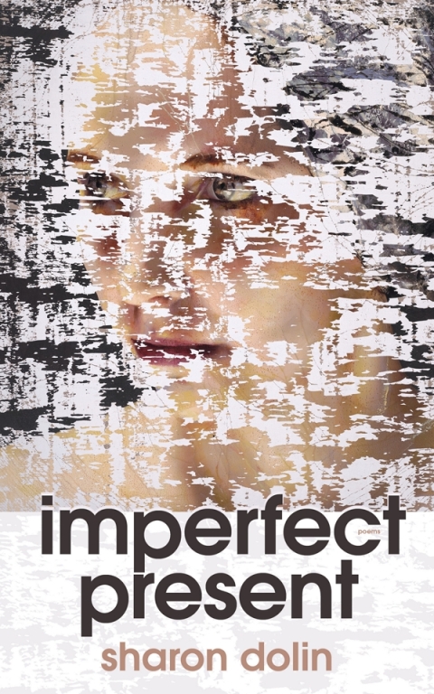 Cover image for book Imperfect Present