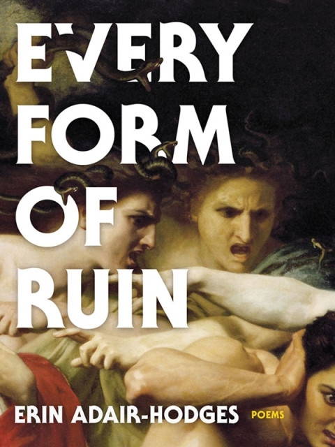 Cover image for book Every Form of Ruin