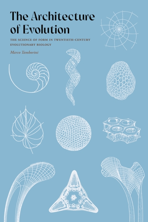 Cover image for book The Architecture of Evolution