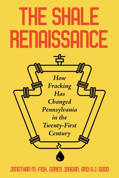 Cover image for book The Shale Renaissance