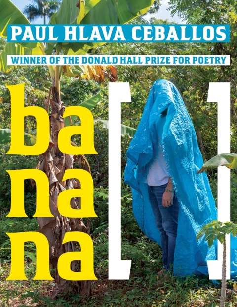 Cover image for book banana [  ]