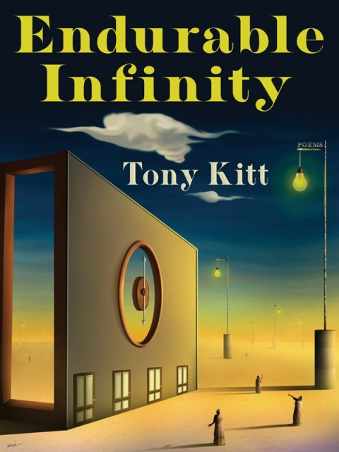 Cover image for book Endurable Infinity