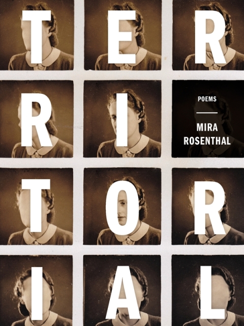 Cover image for book Territorial