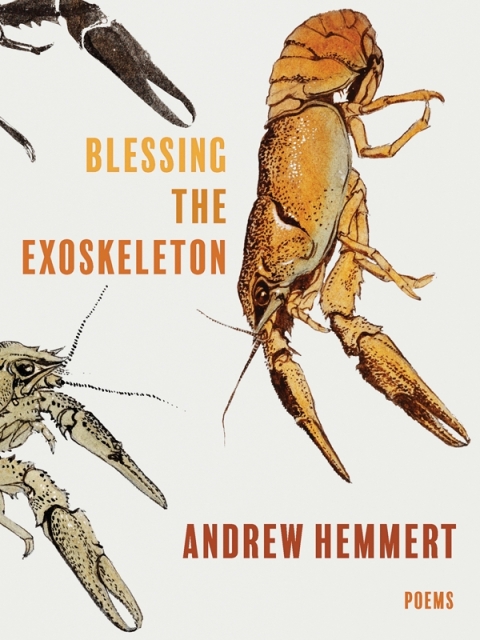Cover image for book Blessing the Exoskeleton