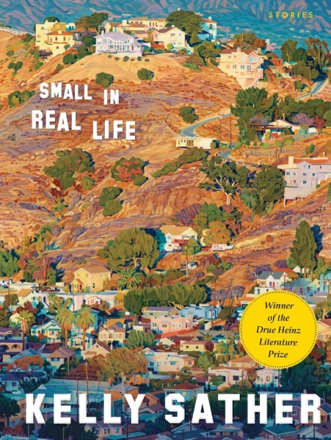 Cover image for book Small in Real Life