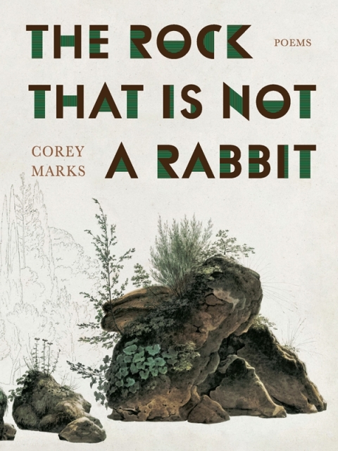 Cover image for book Rock That Is Not a Rabbit, The