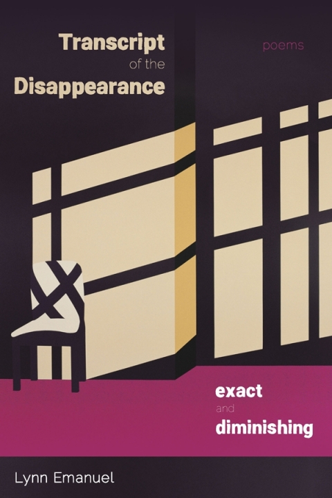 Cover image for book Transcript of the Disappearance, Exact and Diminishing
