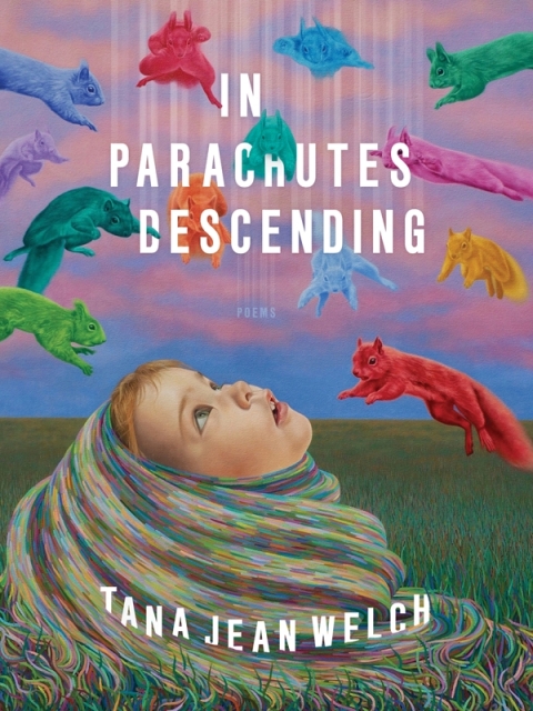 Cover image for book In Parachutes Descending