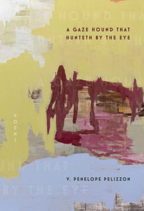 Cover image for book A Gaze Hound That Hunteth by the Eye