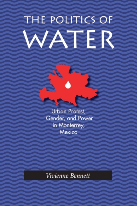 Cover image for book The Politics of Water