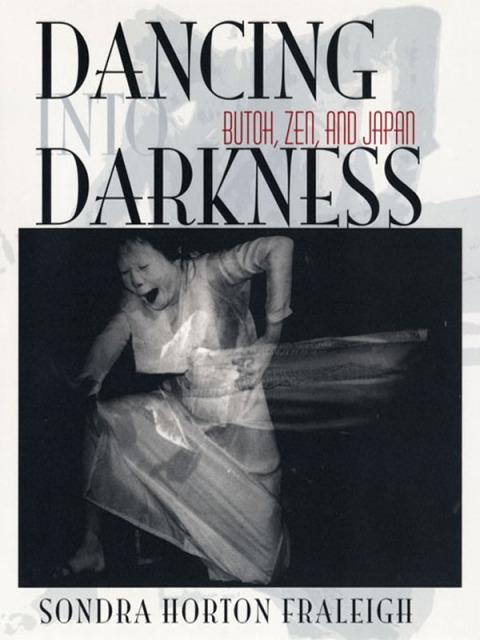 Cover image for book Dancing Into Darkness