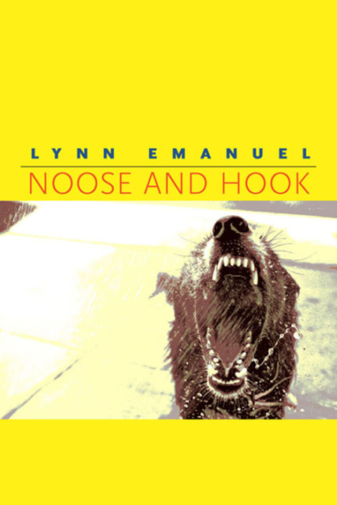 Cover image for book Noose and Hook