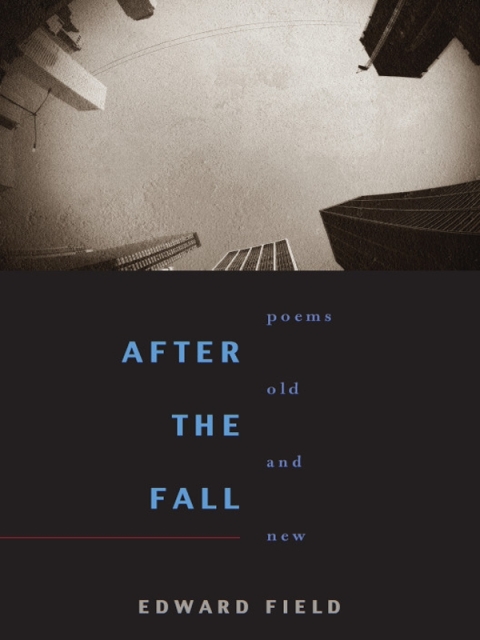 Cover image for book After the Fall