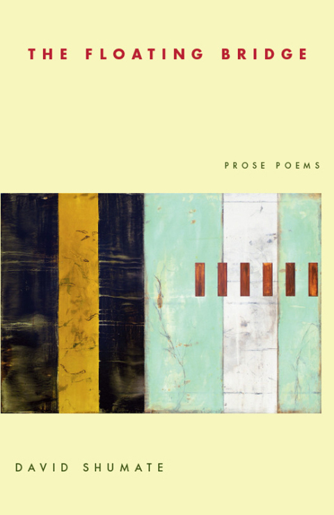Cover image for book The Floating Bridge