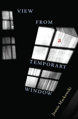 View from a Temporary Window