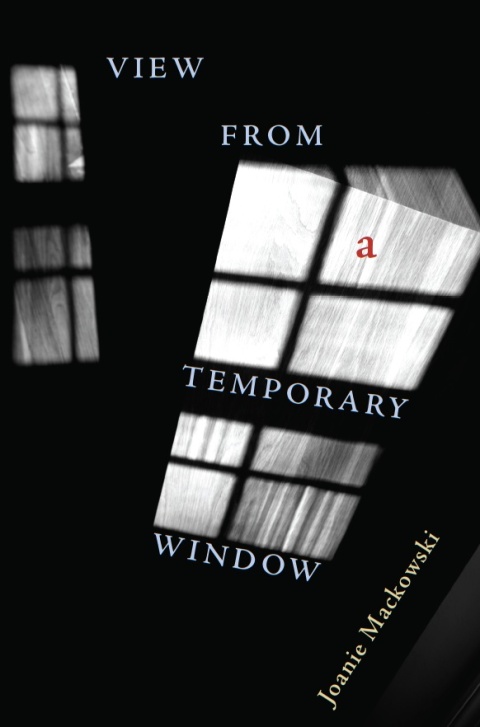 Cover image for book View from a Temporary Window