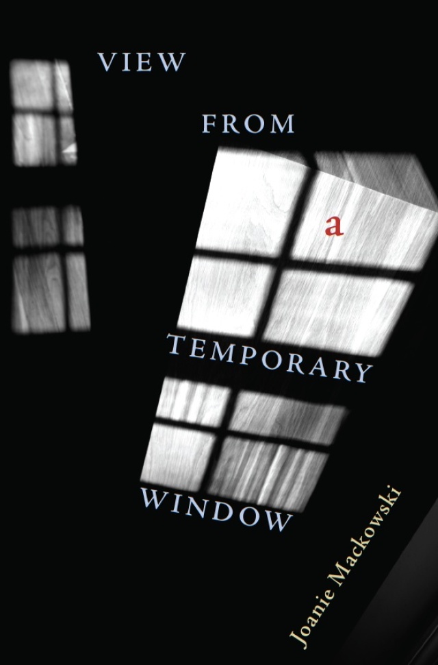 View from a Temporary Window