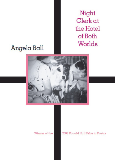 Cover image for book Night Clerk at the Hotel of Both Worlds