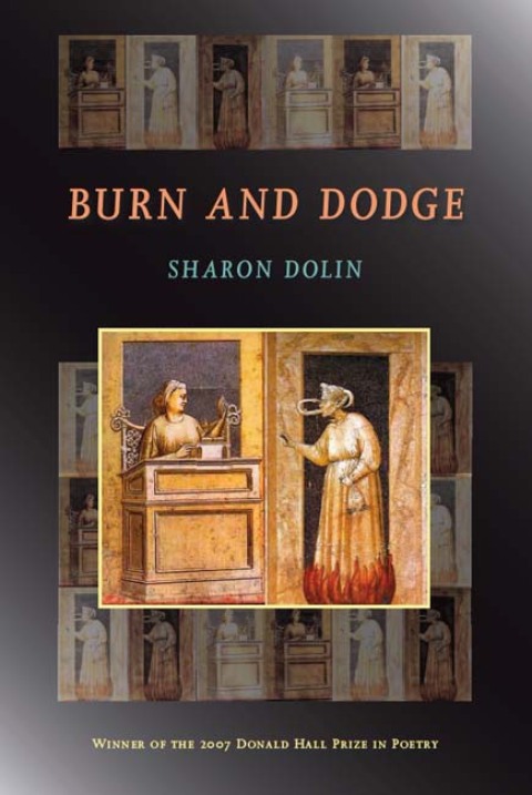 Cover image for book Burn and Dodge