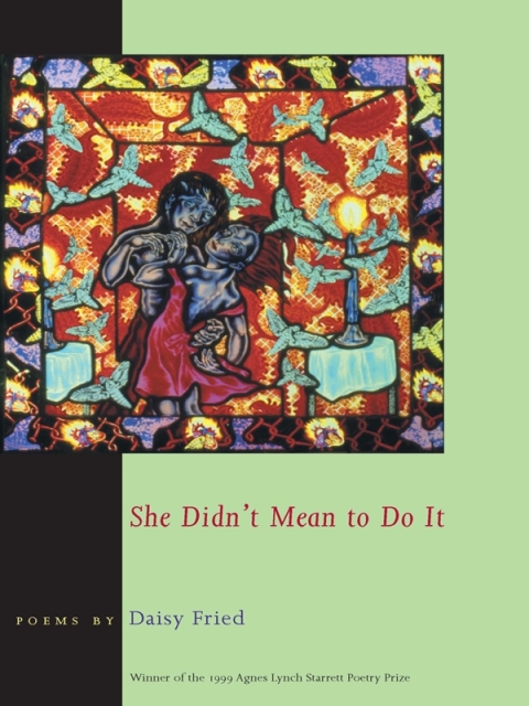Cover image for book She Didn't Mean to Do It