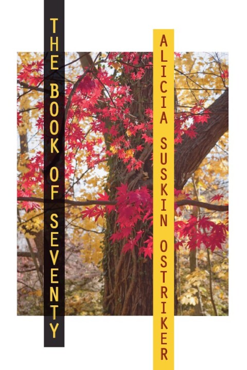 Cover image for book The Book of Seventy