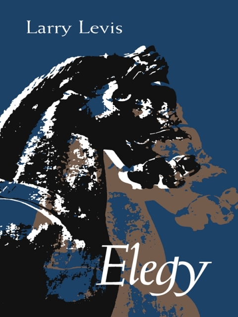 Cover image for book Elegy