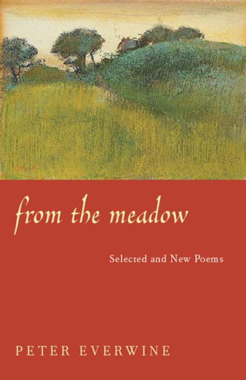 Cover image for book From the Meadow