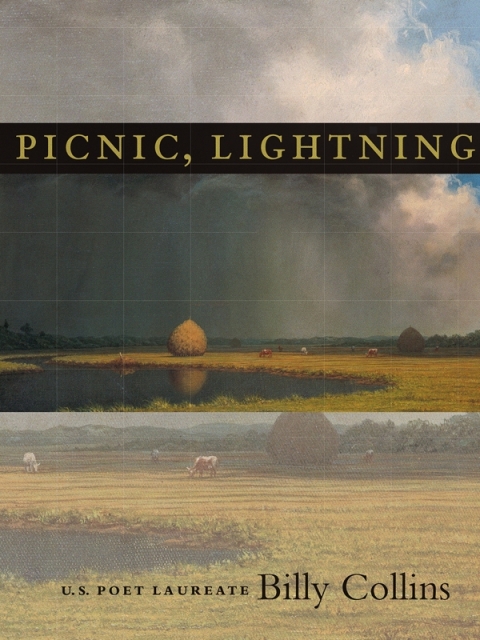 Cover image for book Picnic, Lightning