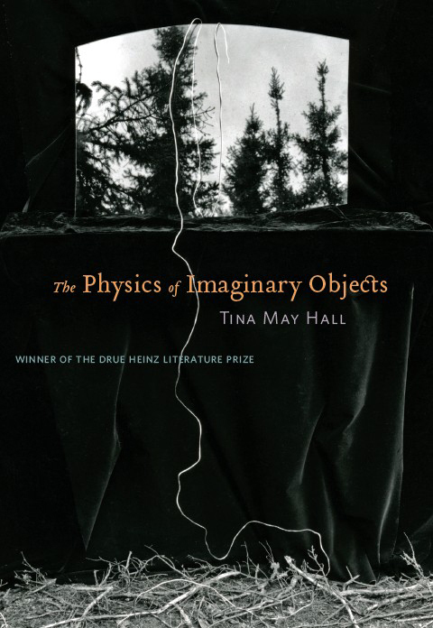 The Physics of Imaginary Objects 