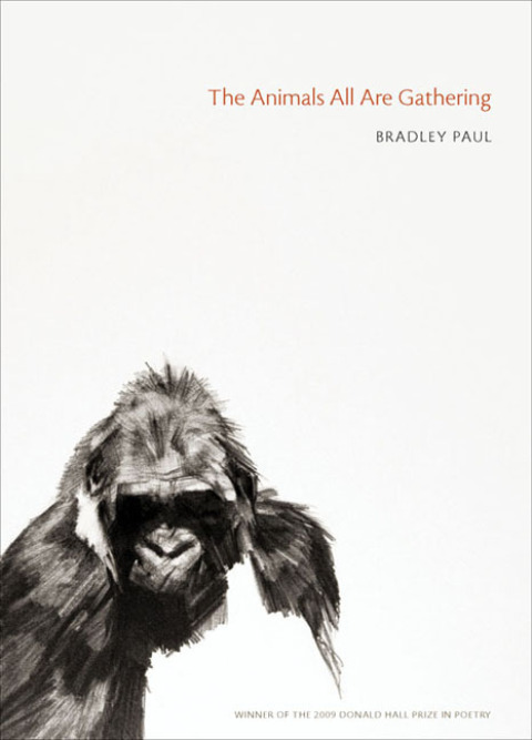 Cover image for book The Animals All Are Gathering