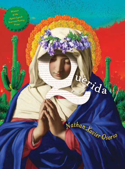 Cover image for book Querida