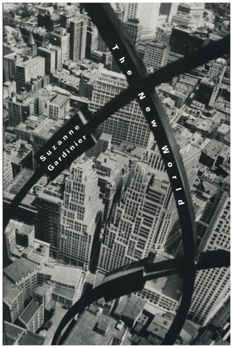Cover image for book The New World