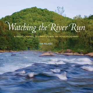 Watching the River Run
