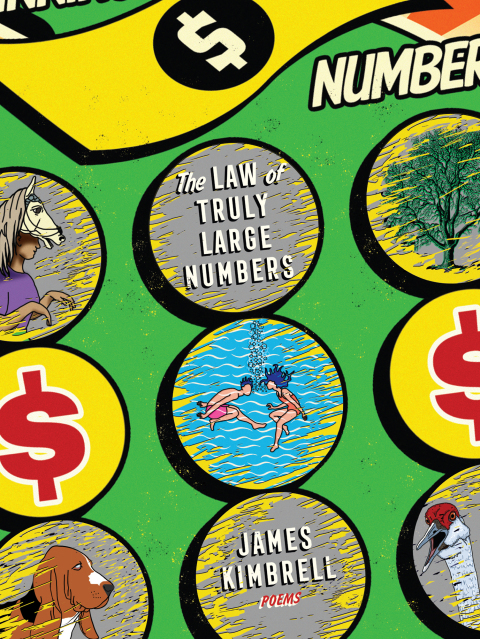 The Law of Truly Large Numbers 