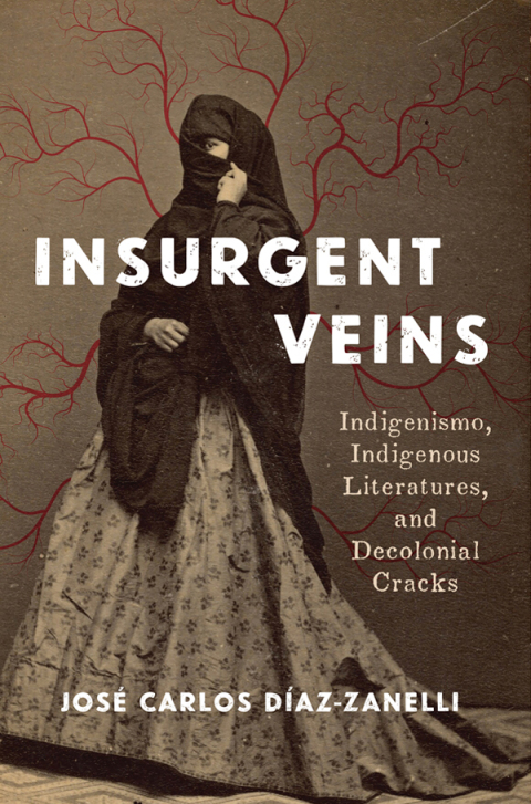 Cover image for book Insurgent Veins