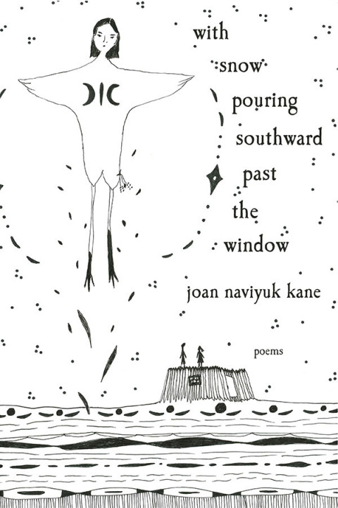 Cover image for book with snow pouring southward past the window
