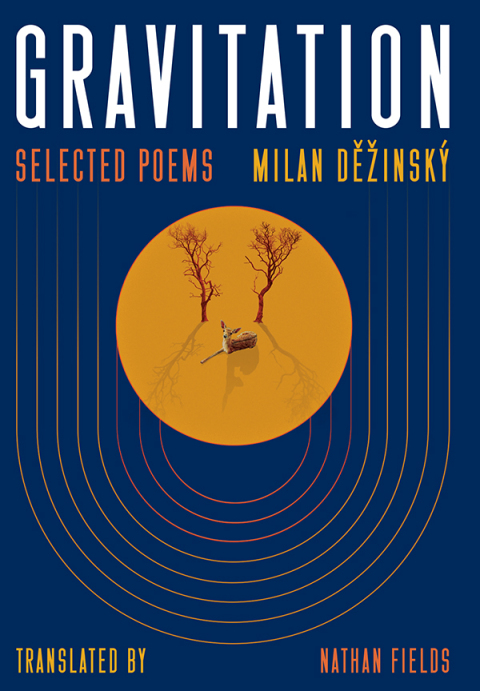 Cover image for book Gravitation