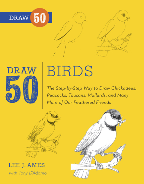 Cover image for book Draw 50 Birds