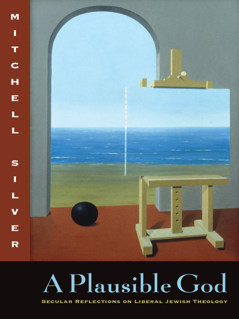 Cover image for book A Plausible God