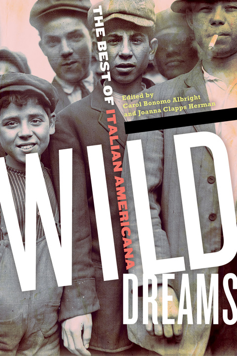 Cover image for book Wild Dreams