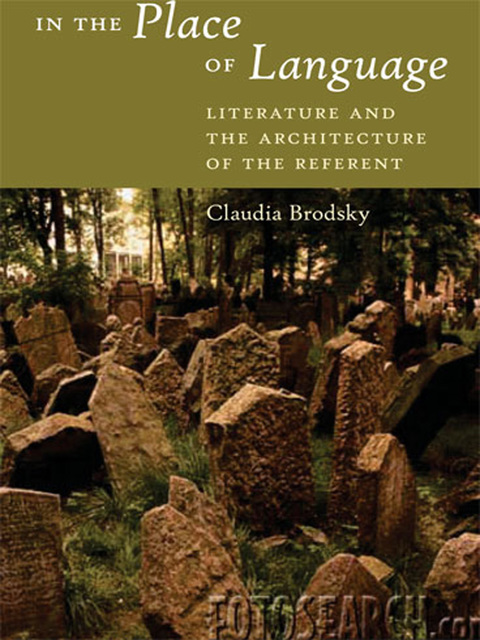 Cover image for book In the Place of Language