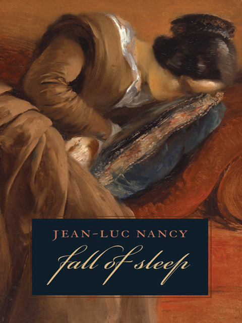 Cover image for book The Fall of Sleep