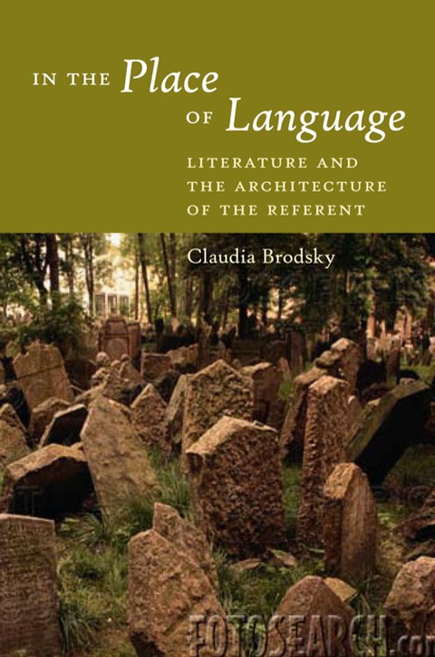 Cover image for book In the Place of Language