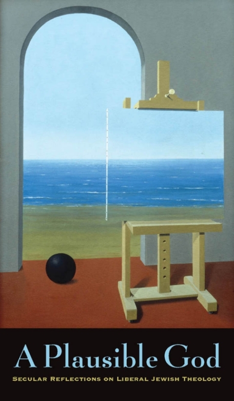 Cover image for book A Plausible God