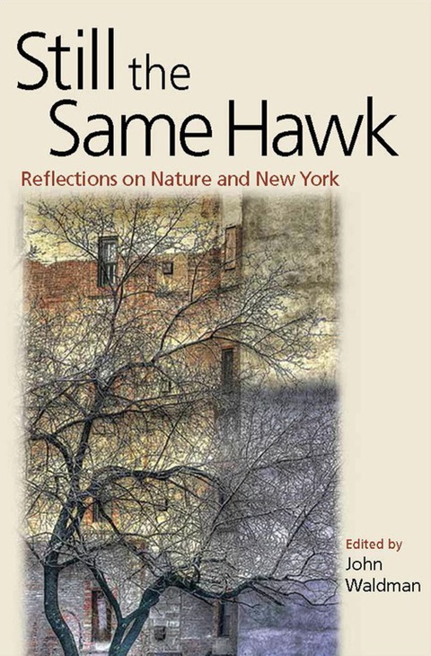 Cover image for book Still the Same Hawk