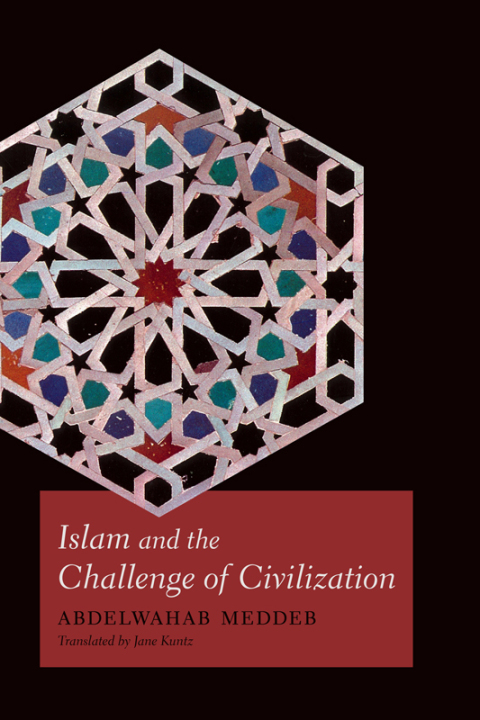 Cover image for book Islam and the Challenge of Civilization