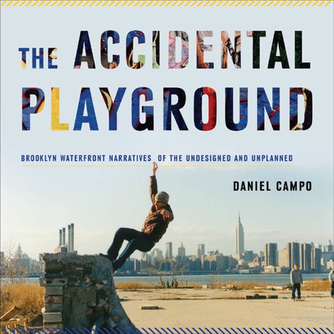 Cover image for book The Accidental Playground