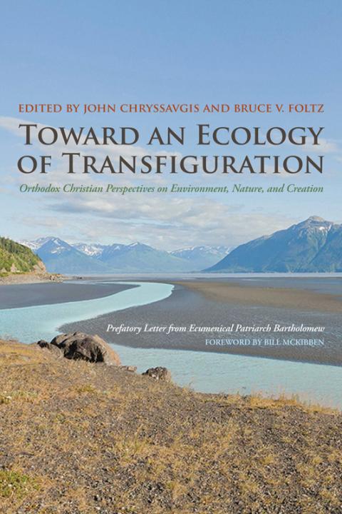 Cover image for book Toward an Ecology of Transfiguration
